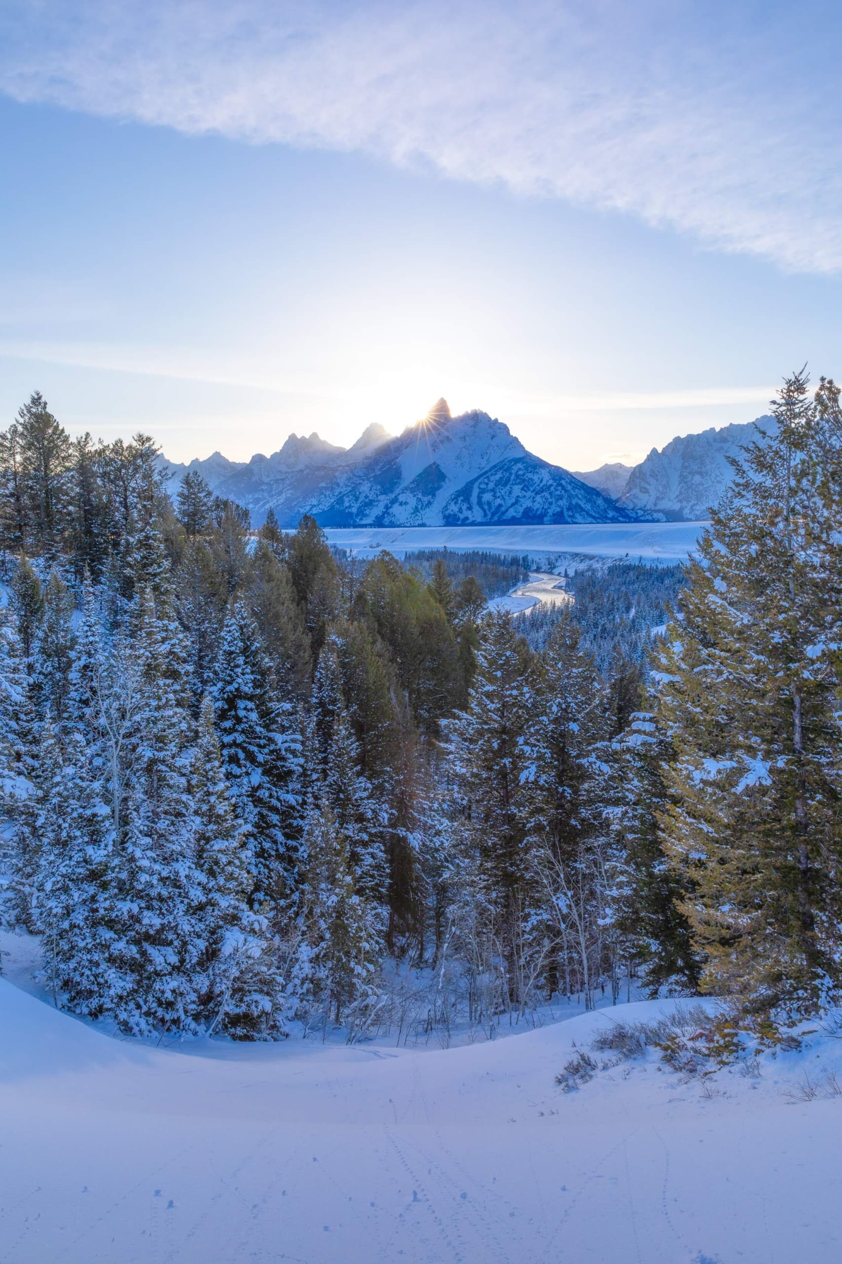 The forest and mountains at sunrise in Winter at Jackson Hole.