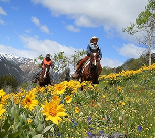 horseback Horseback riding in Jackson Hole