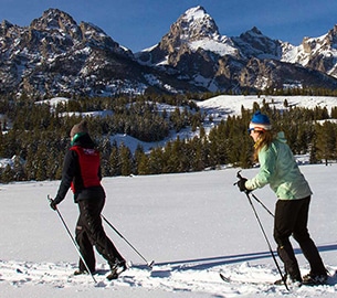 skiing Cross-country skiing