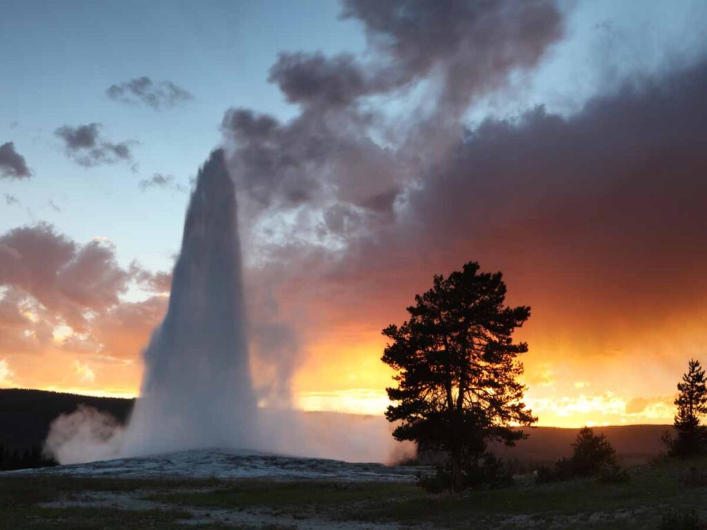 Old Faithful In The Sunset.