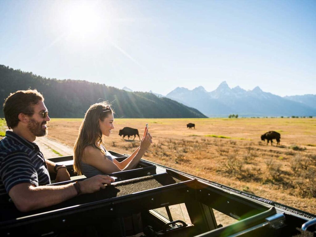 Couple On A Wildlife Tour.