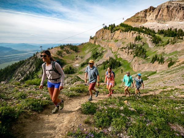 Hikers