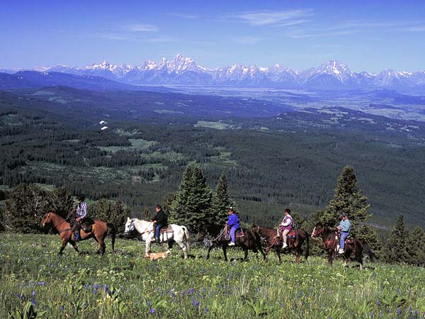 Horseback Riding In The Mountain