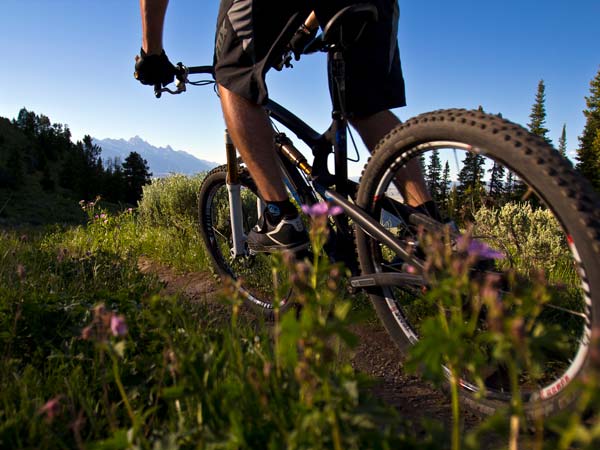 Summer Mountain Biking